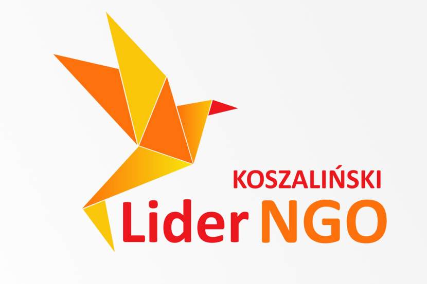 lider ngo